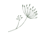 postcard_flower.png